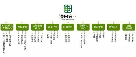 溢田農(nóng)業(yè) 現(xiàn)代供應(yīng)鏈管理與財(cái)務(wù)咨詢(xún)雙輪驅(qū)動(dòng)的創(chuàng)新實(shí)踐